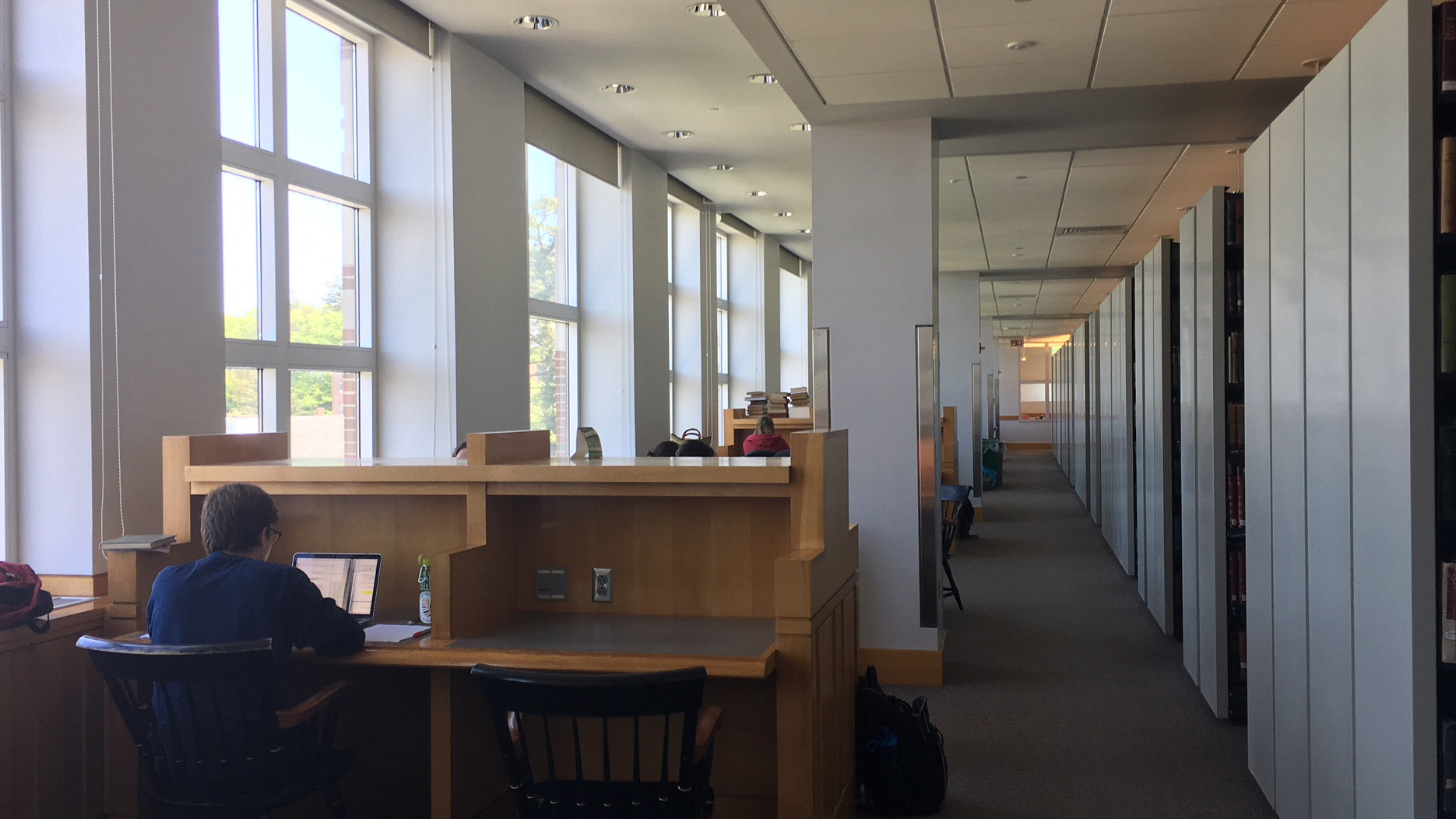 Students study in the Dartmouth Library