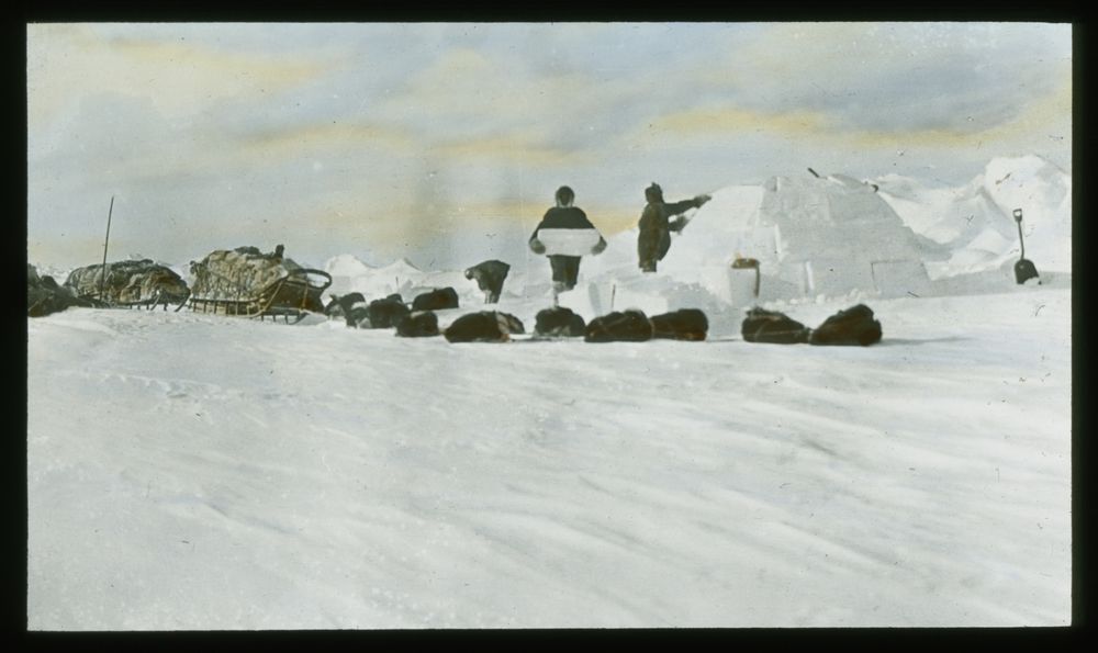 image of the expedition team constructing a snowhouse, Wrangel Island, 1913 Canadian Arctic expedition