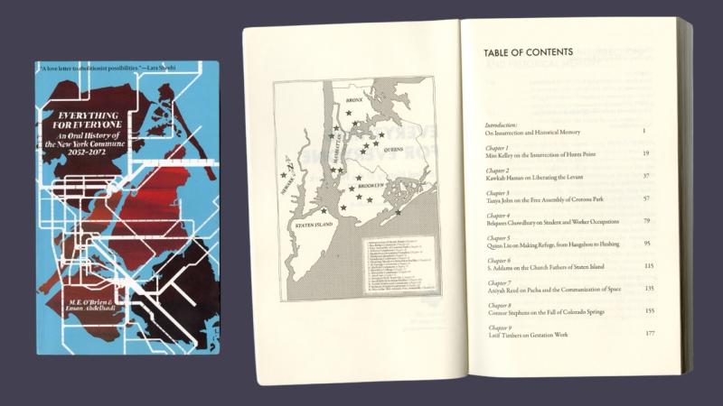 book cover and first pages of everything for everyone