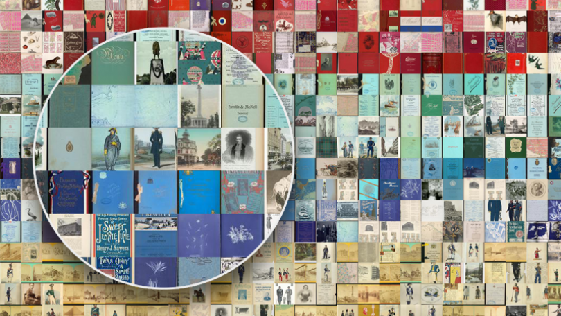 Digital Collections Magnifying Glass