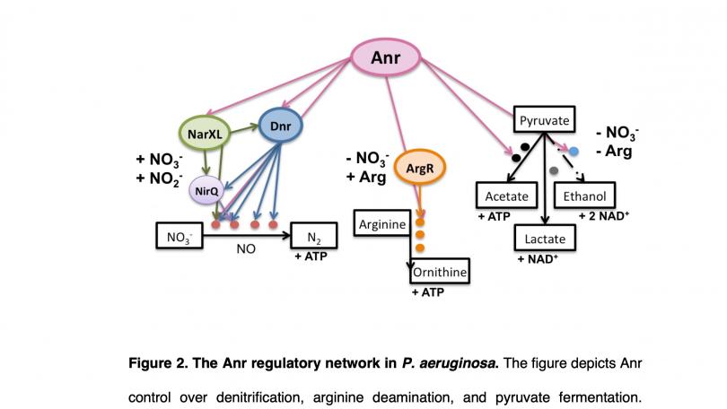 figure from a 2010 PhD dissertation in Engineering by Imran Rizvi