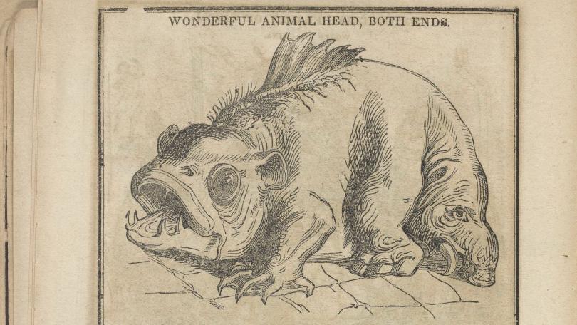drawing of an animal, captioned "wonderful animal head, both ends"