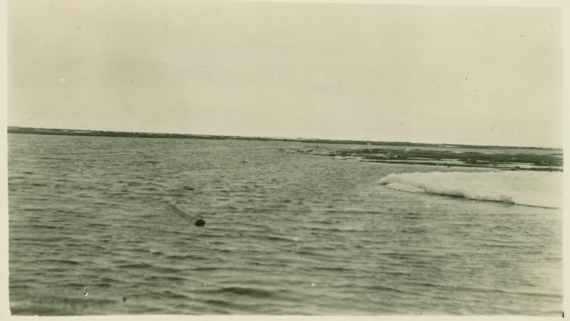 image of an Arctic landscape