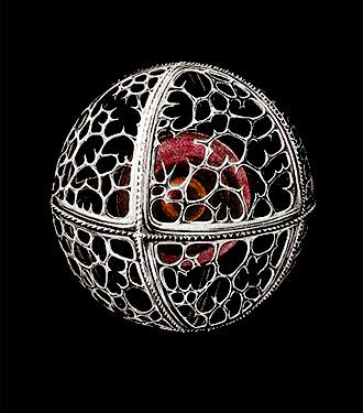 Ernst Haeckel exhibit image