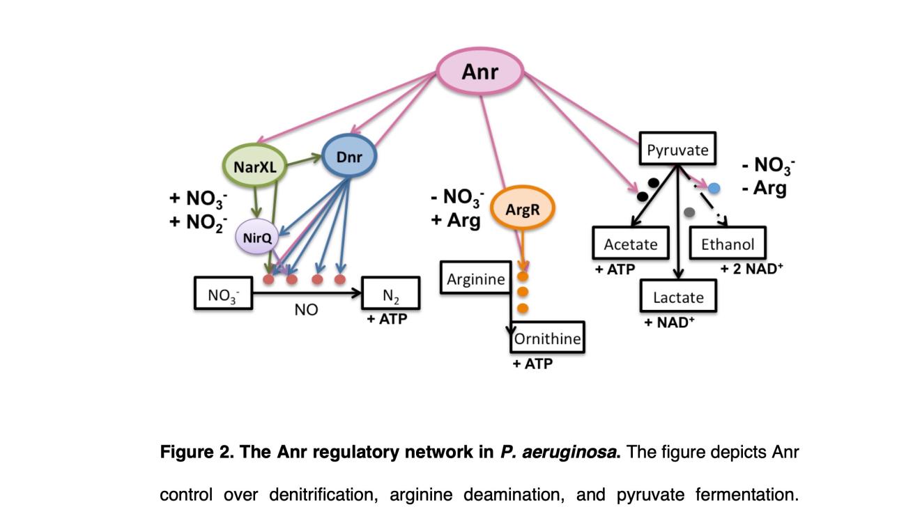 figure from a 2010 PhD dissertation in Engineering by Imran Rizvi