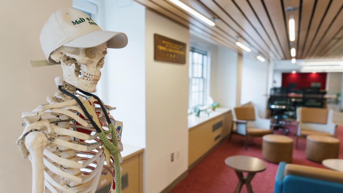 A skeleton wearing a hat and a stethoscope in Dana Biomedical Library