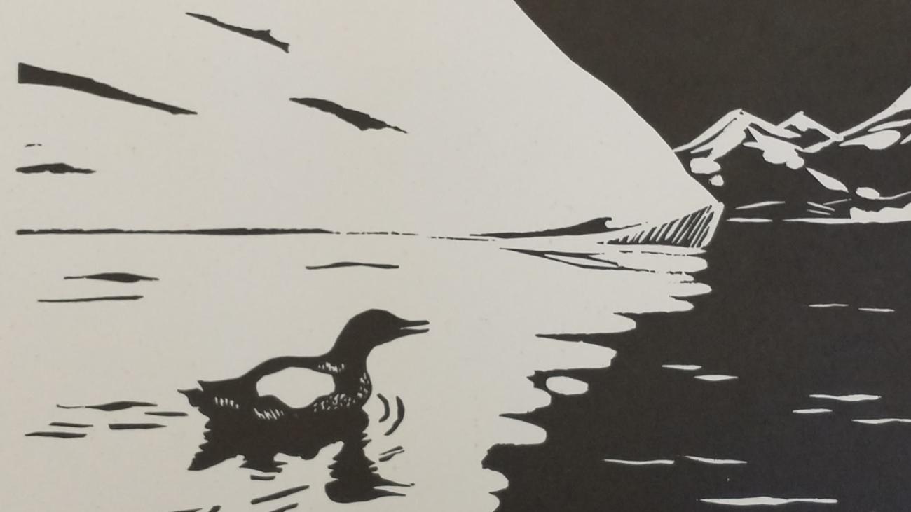 Black and white linocut of a duck swimming in the arctic ocean, parallel to a glacier
