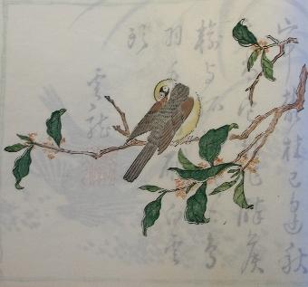 Illustration of a bird on a branch