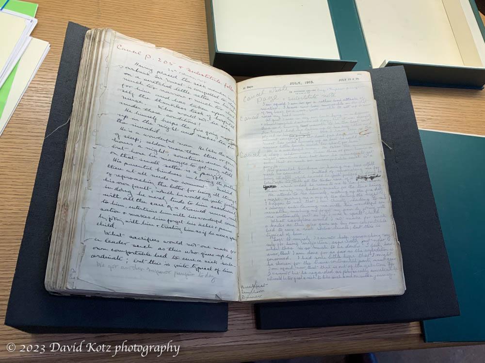 diary of Thomas Orde-Lees
