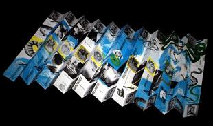 Image of an artist book folded like an accordion