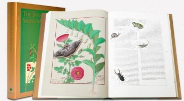 Illustration of insects and plants