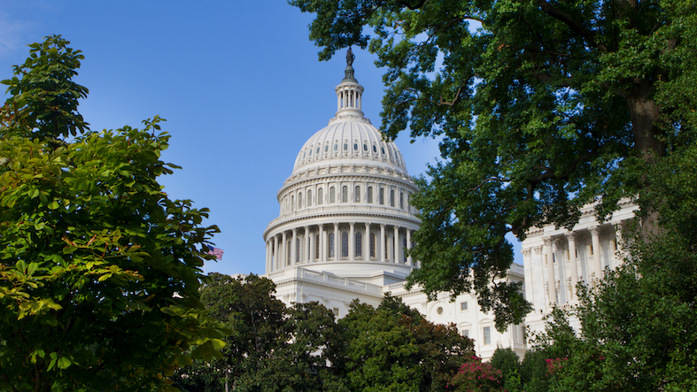 picture of capital building in Washington DC