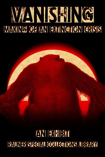 Vanishing - poster