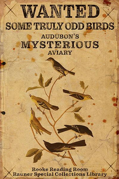Wanted Some Truly Odd Birds: Audubon's Mysterious Aviary