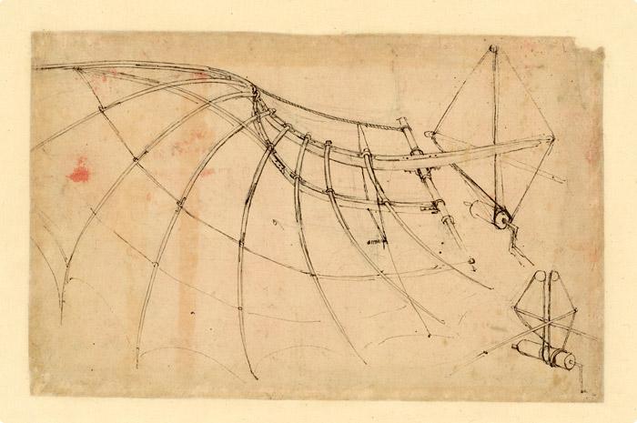 A drawing of a wing