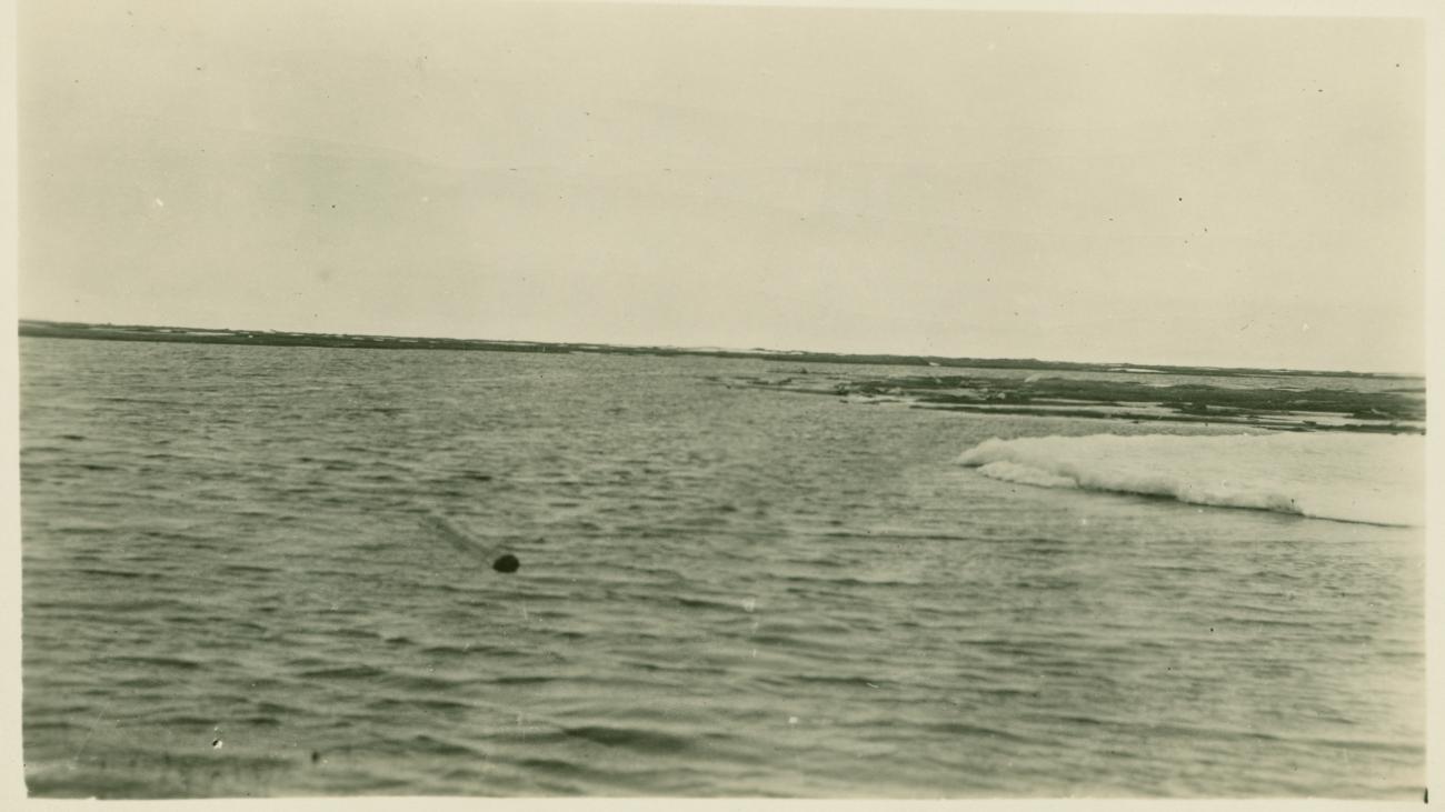 image of an Arctic landscape