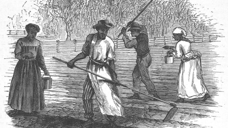 "Hoeing and Planting Cotton Seeds, South Carolina" from Frank Leslie's Popular Monthly, 1880