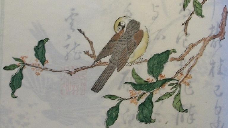 Illustration of a bird on a branch