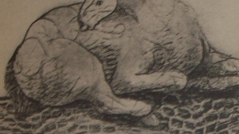 Illustration of a horse