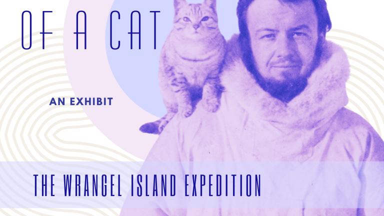 Cat rides on shoulder of man in arctic parka
