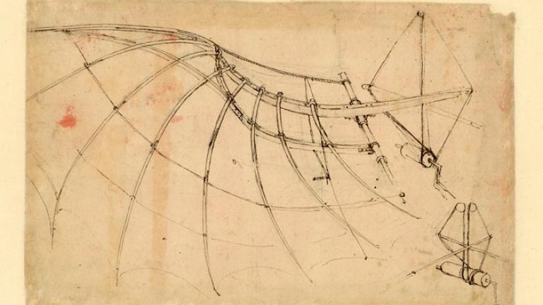 A drawing of a wing